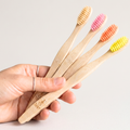 A hand holding four TANIT adult bamboo toothbrushes